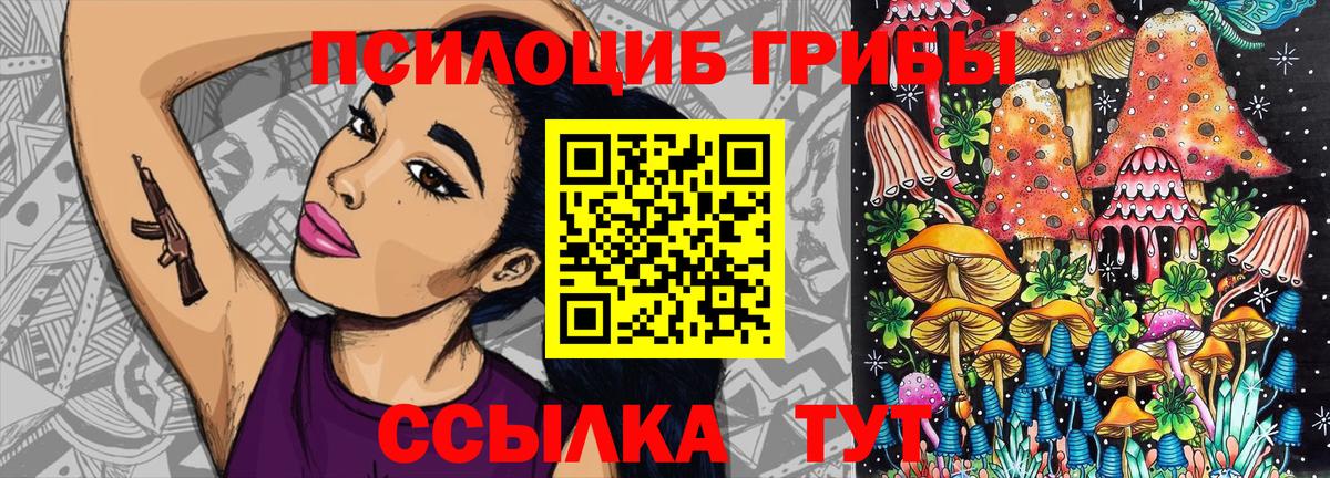Галлюциногенные грибы мицелий  Псилоцибиновые грибы Psilocybe  Вход с VPN  Усть-Илимск 