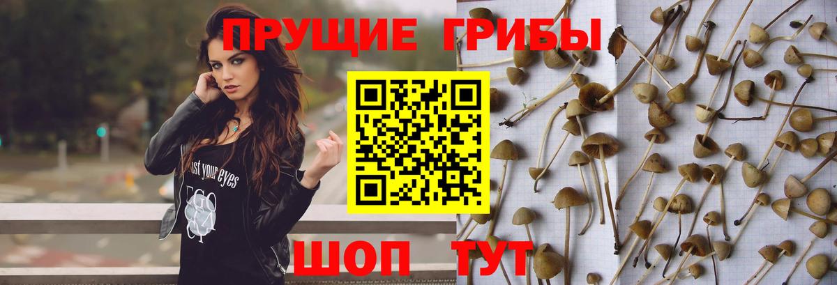 ГАШ Усть-Илимск